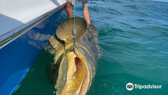 Sea Reaper Fishing Charters