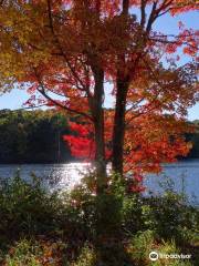 Macedonia Brook State Park