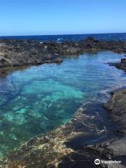 Makapu’u Point Tide Pools