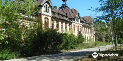 比利茨-海爾斯特滕