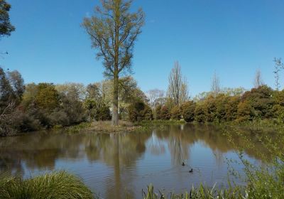 North Garden Reserve