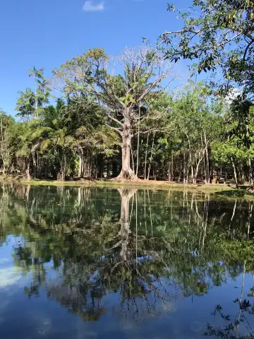 파라고미나스 호텔