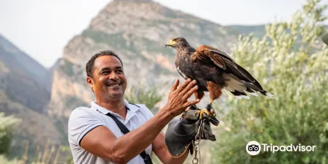 Setteventi del Pollino