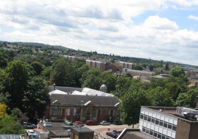 Dartford Borough Museum