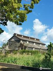 Fordlandia Ghost Town