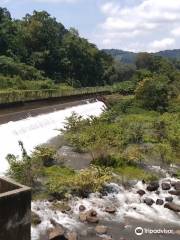 Perunthenaruvi Water Falls