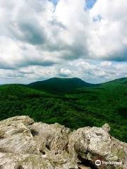 Pilot Mountain State Park