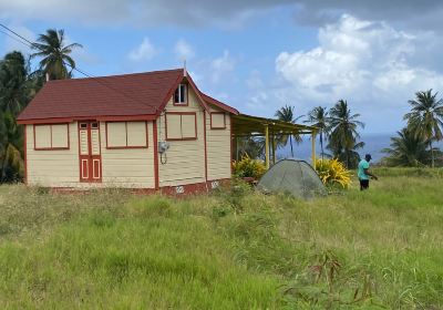 Bathsheba Beach