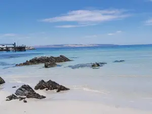 Penneshaw Beach