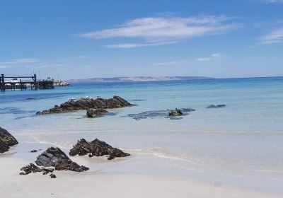 Penneshaw Beach