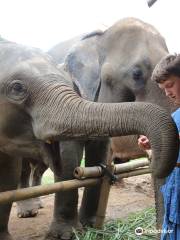 Eco Elephant Care