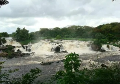 Caroni