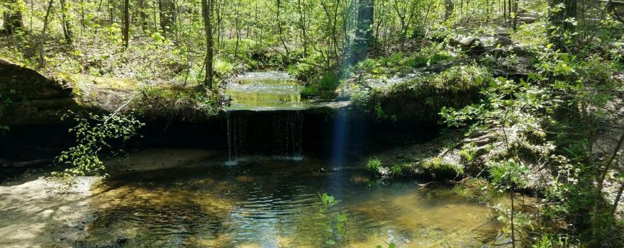 Pickle Springs Natural Area