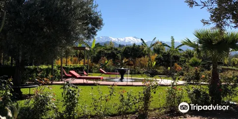 Le Paradis du Safran