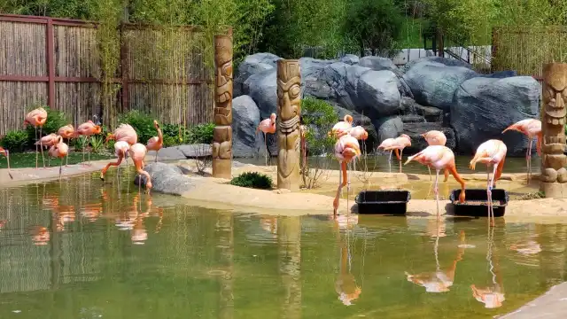 Essex County Turtle Back Zoo