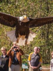 North Island Wildlife Recovery Centre