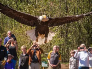 North Island Wildlife Recovery Centre