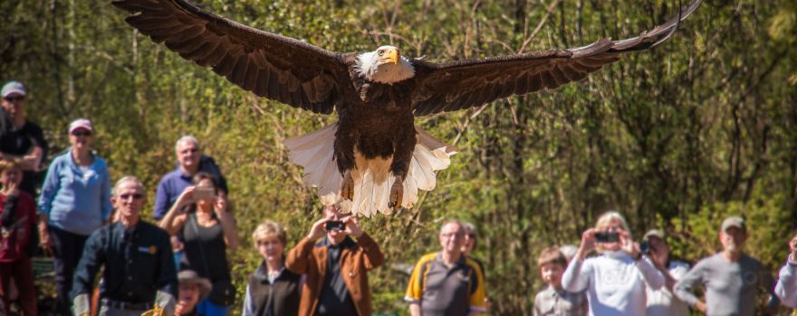 North Island Wildlife Recovery Centre