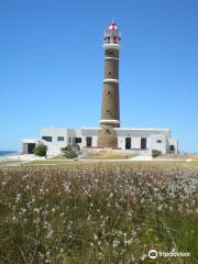 Beaches at Cabo Polonio