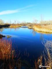 South Platte Park and the Carson Nature Center