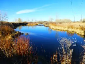 South Platte Park and Carson Nature Center