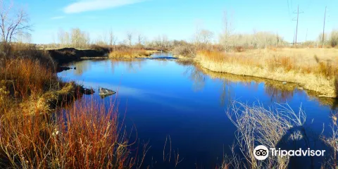 South Platte Park and the Carson Nature Center