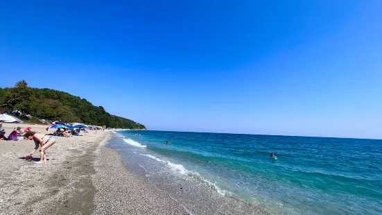 Koutsoupia Beach