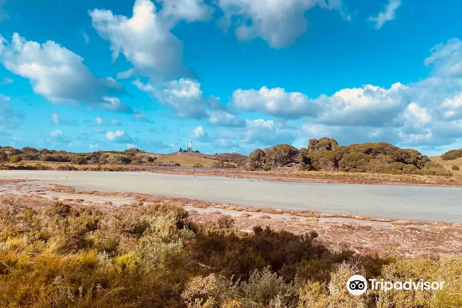 Rottnest Island Salt Lakes