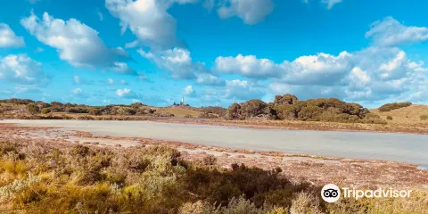 Rottnest Island Salt Lakes