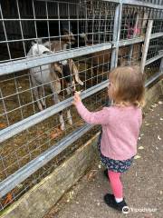 Lane's Garden Centre Open Farm