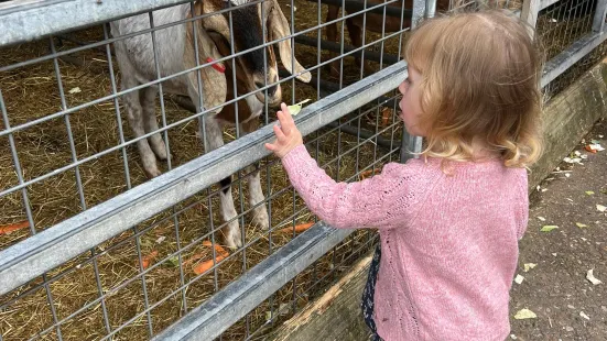 Lane's Garden Centre Open Farm