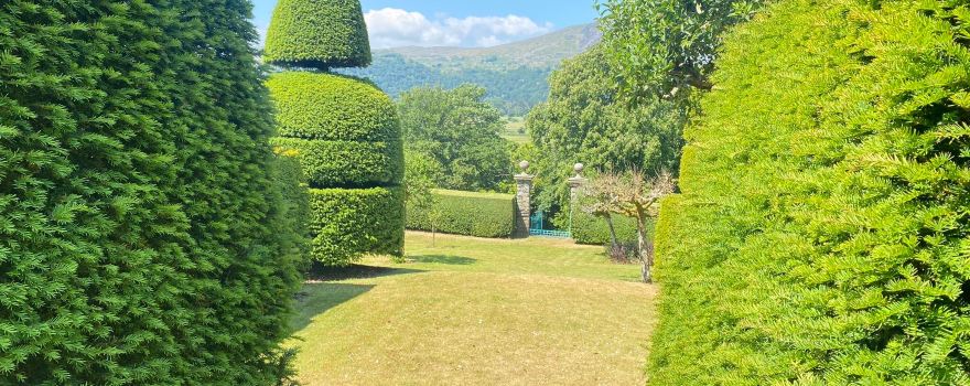 Plas Brondanw Gardens