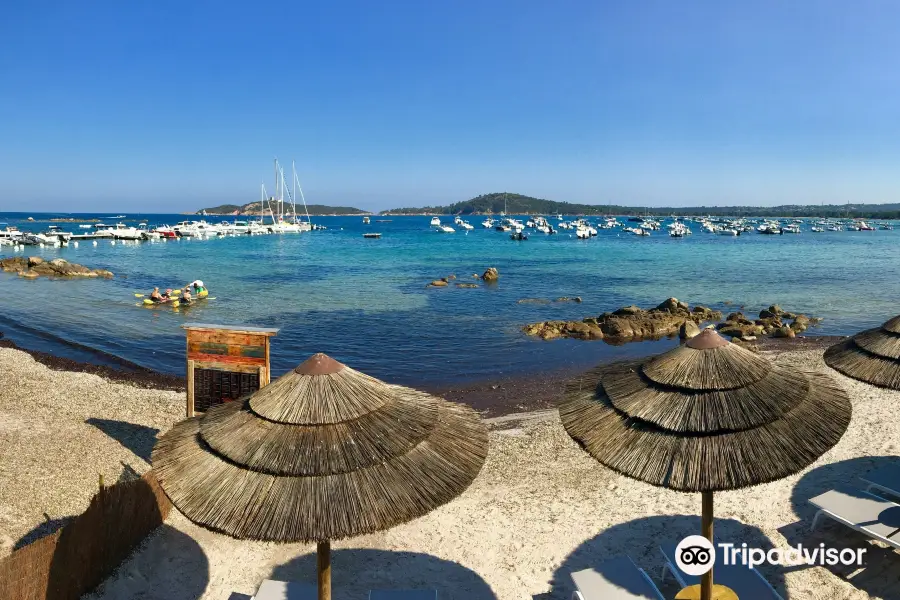 Plage De Pinarello