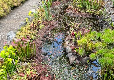 Conservatoire Botanique National