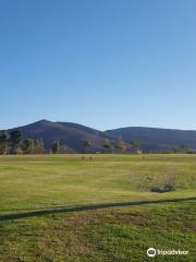 Mountain Hawk Park