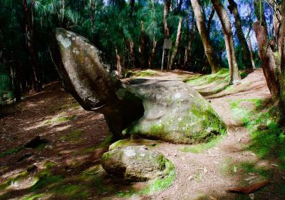 Phallic Rock (Ka Ule o Nanahoa)