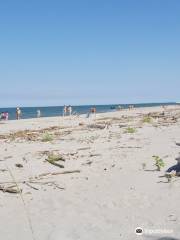 Spiaggia Boccasette