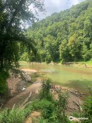 Green River Ferry