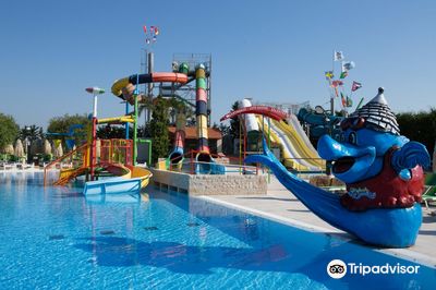 Acqua Splash