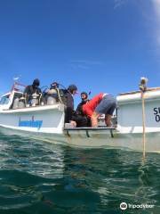 Bucea Hoy - Centro de Buceo