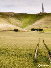 Cherhill White Horse