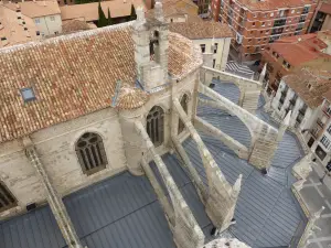 Catedral de San Antolín de Palencia