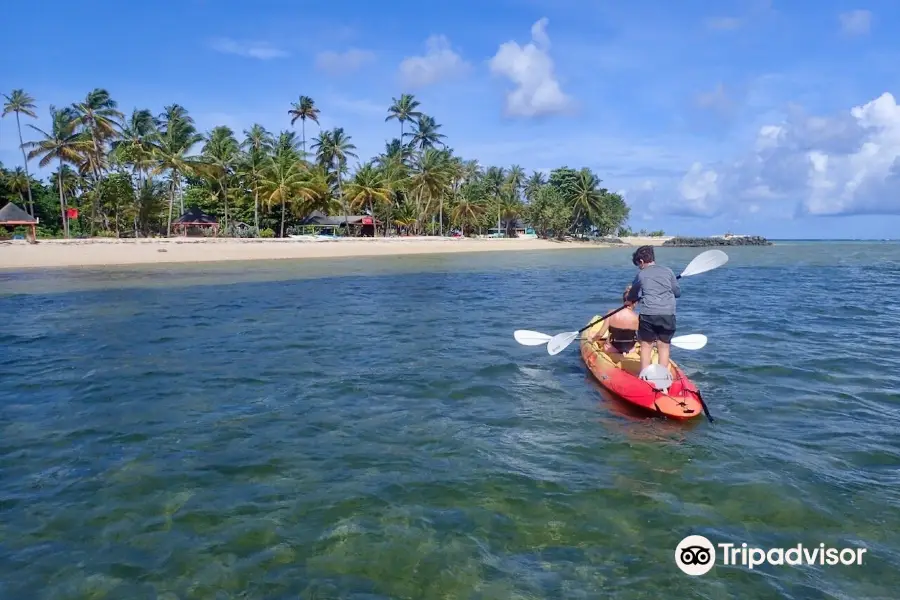 Stand Up Paddle