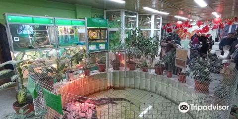 MBUDO Children's Ecological Station