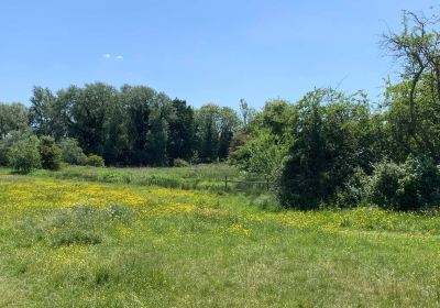 Purwell Meadows Nature Reserve.