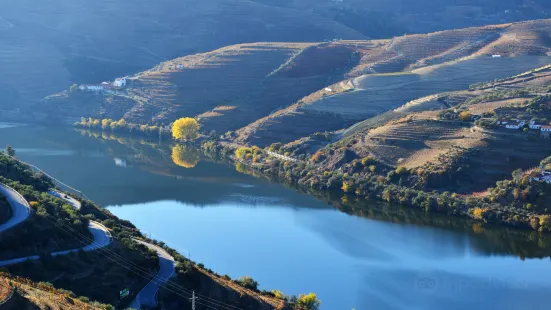 Quinta do Seixo - Sandeman