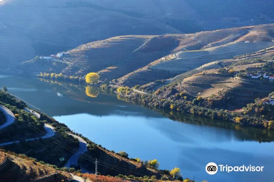 Quinta do Seixo - Sandeman