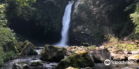 天城國際鱒釣場