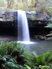 Upper Kalimna Falls