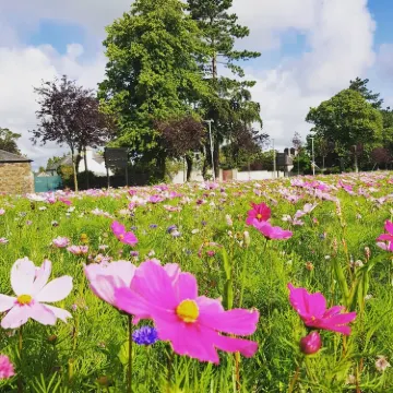 Edenvilla Park & Edenvilla Secret Garden